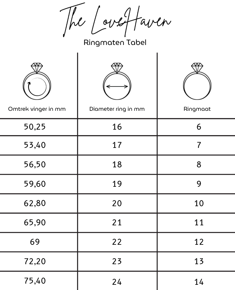 Graveerbare Stainless Steel Heren Ring